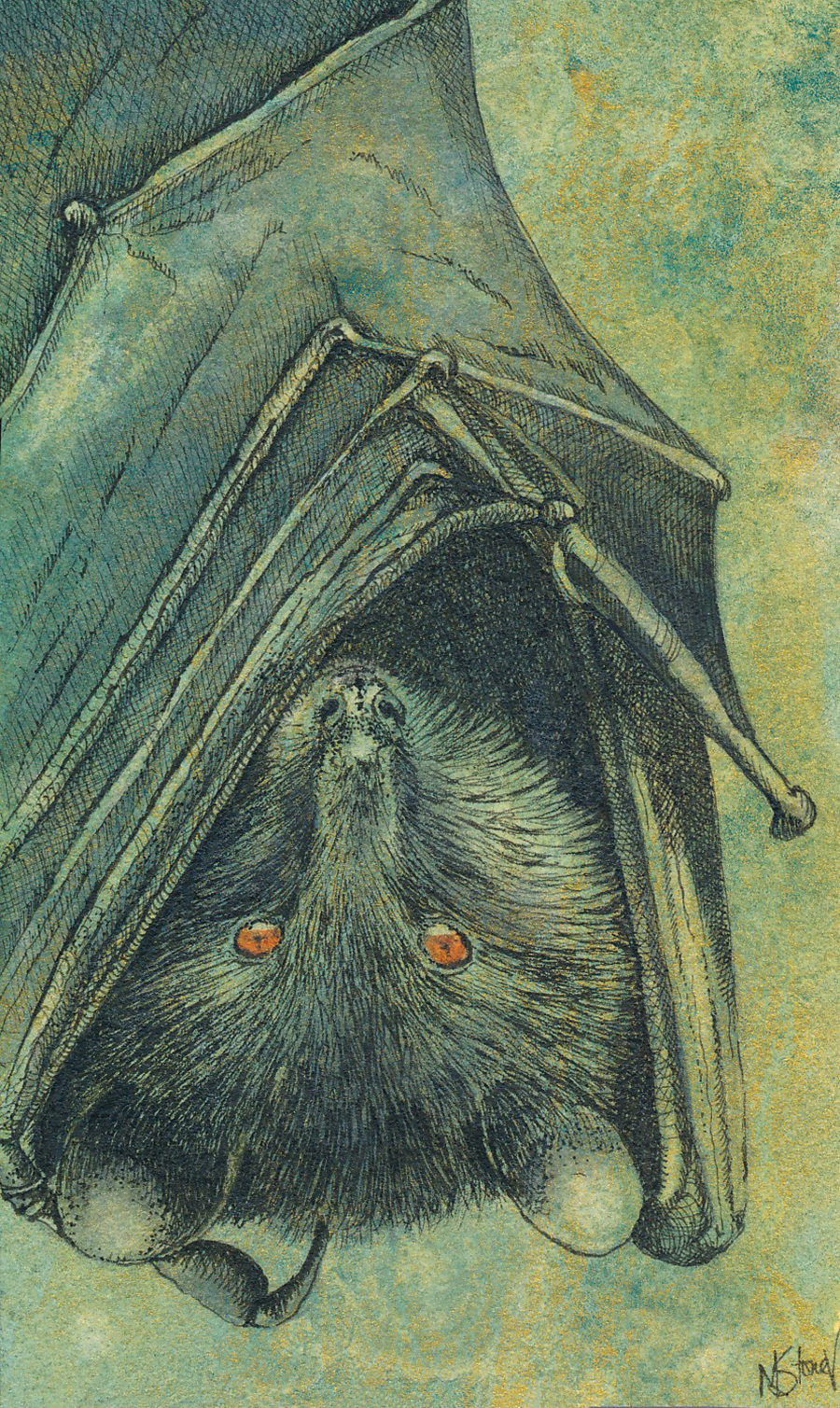 The Bat, 3 x 5 inches, watercolor and ink